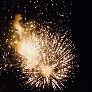 Meet your Posher, Millie